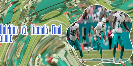 Miami dolphins yesterday