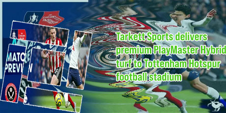 Sports tottenham